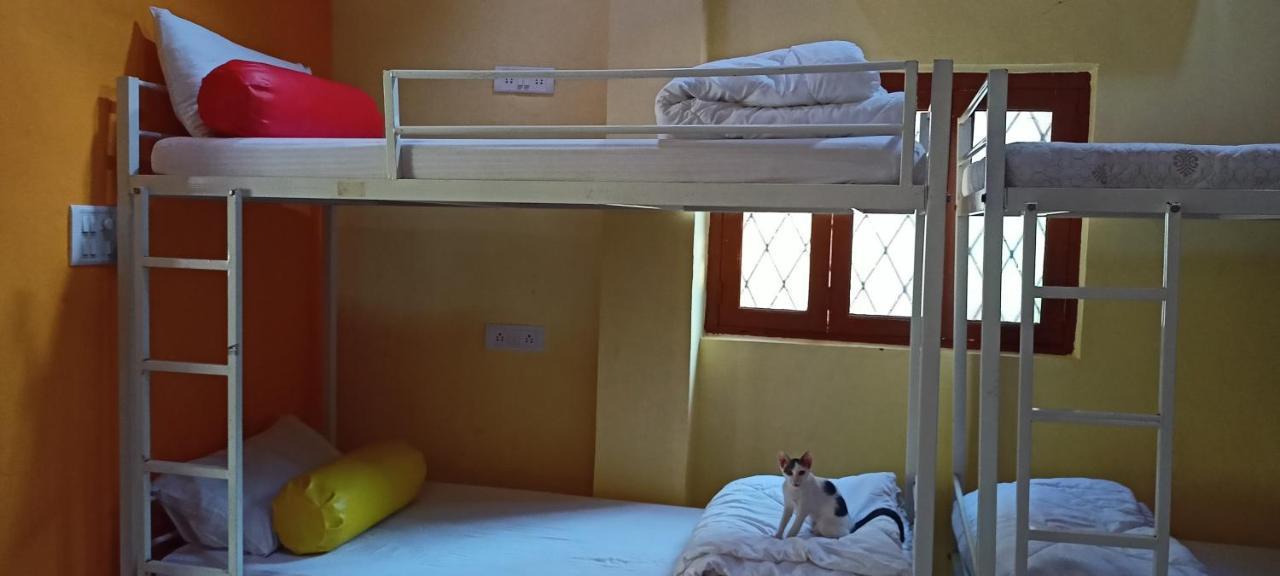 Red Monkeys Hostel Arambol Eksteriør billede